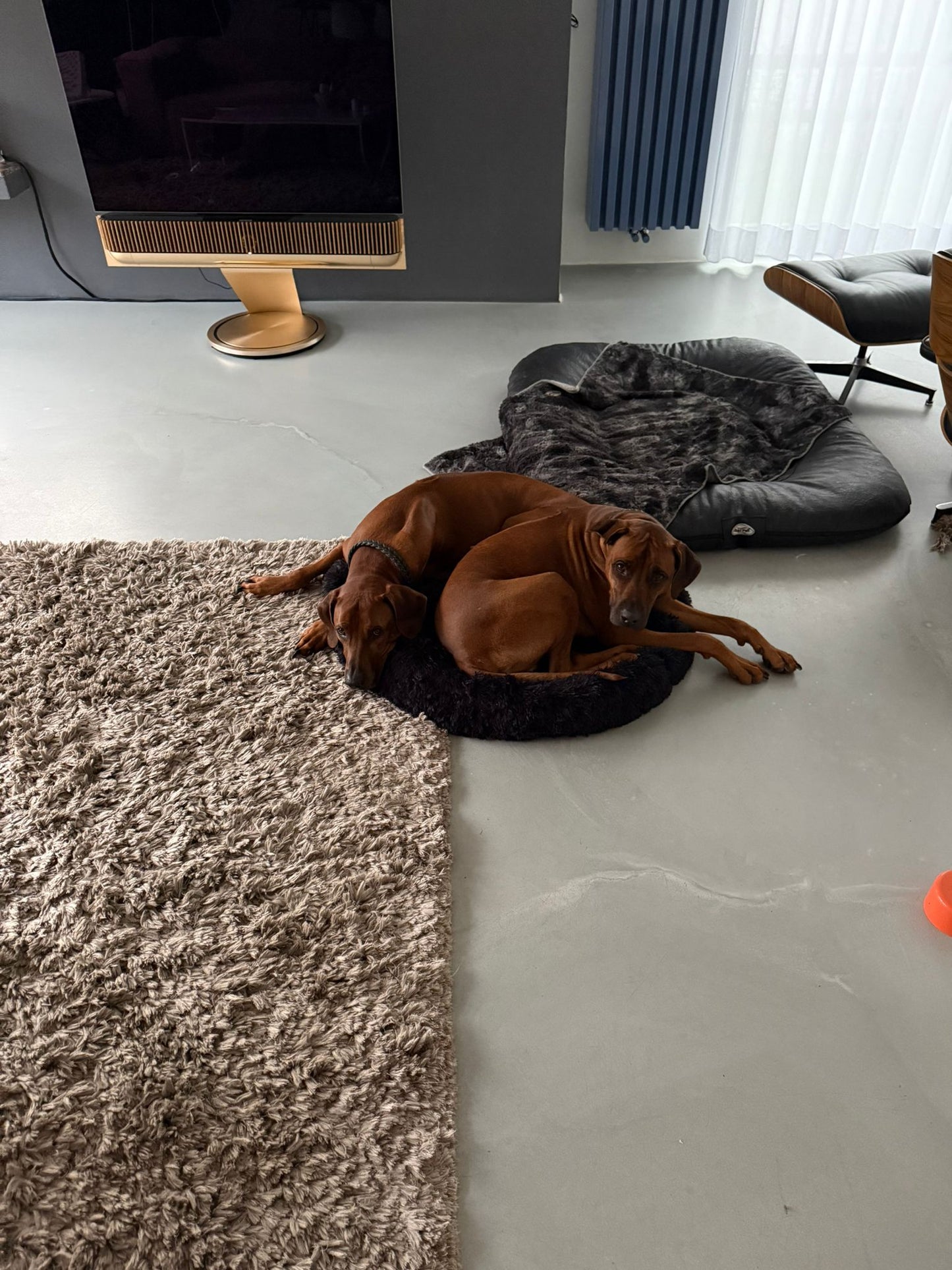 Relaxing Bed - Hundebett aus flauschigem Material