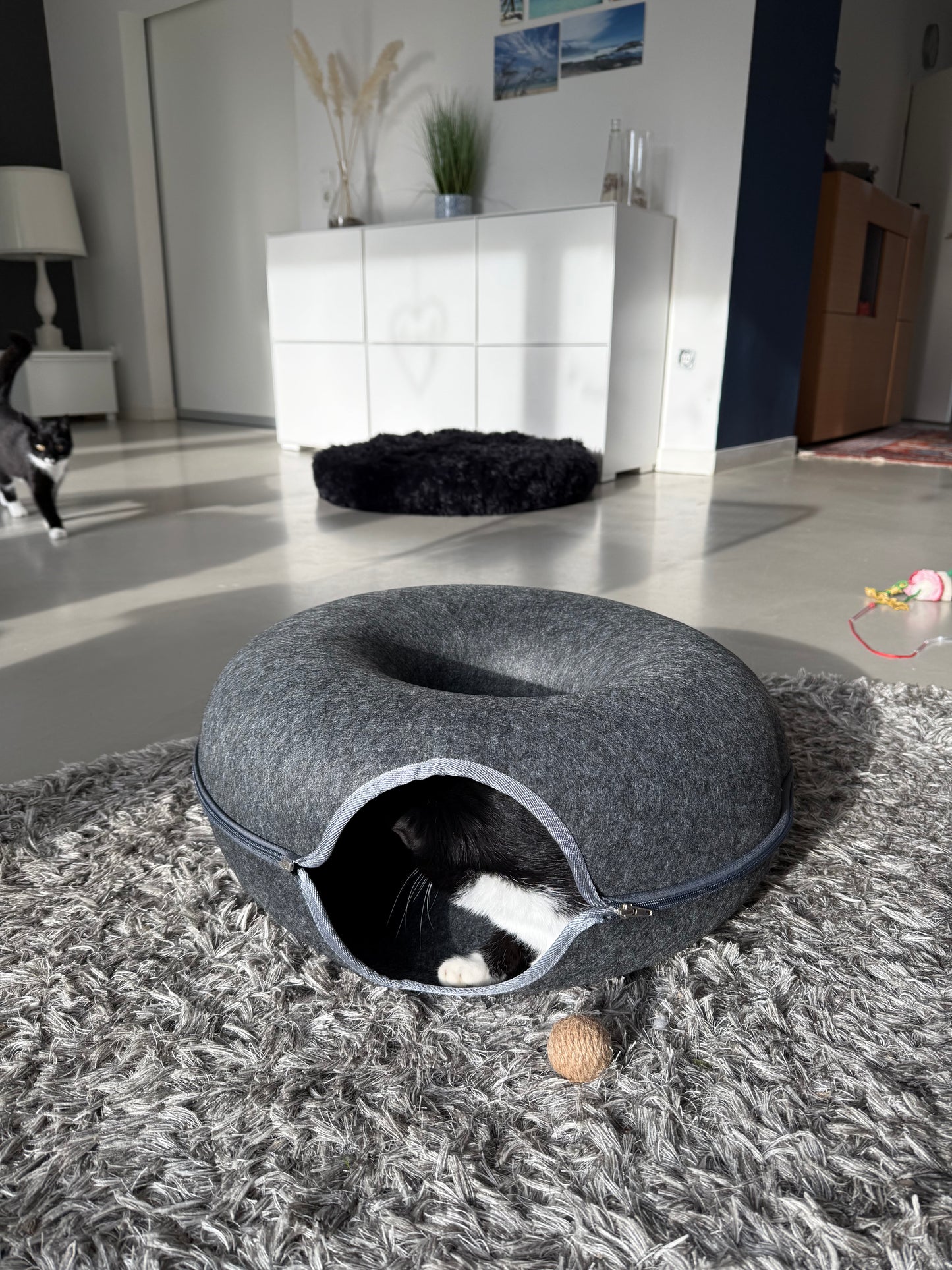 Relaxing Cat Donut - Katzen Donut mit interaktiven Design