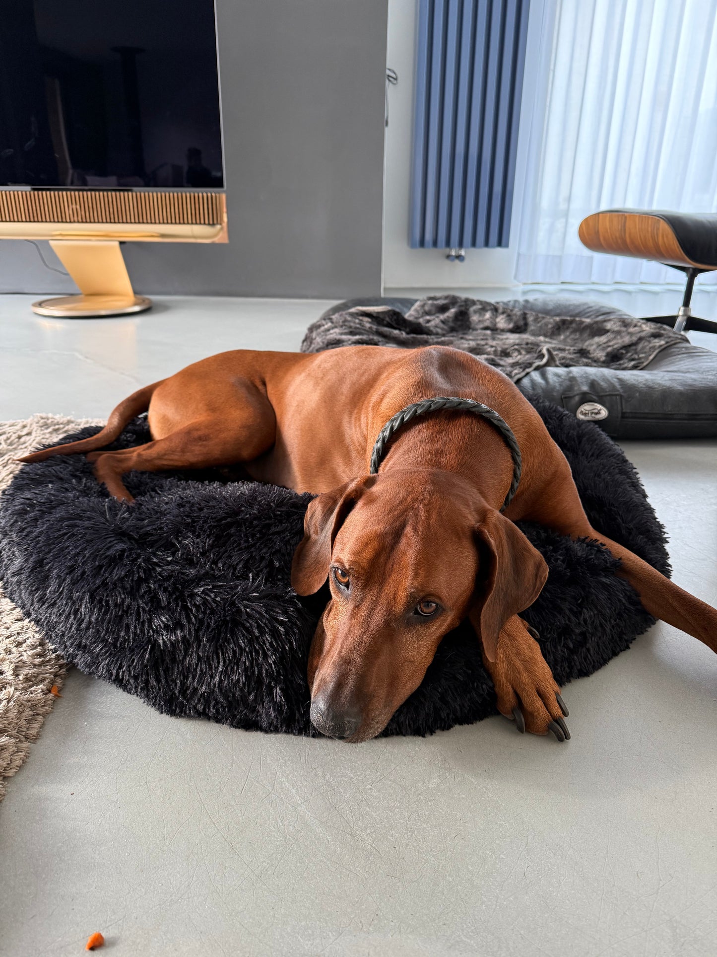 Relaxing Bed - Hundebett aus flauschigem Material