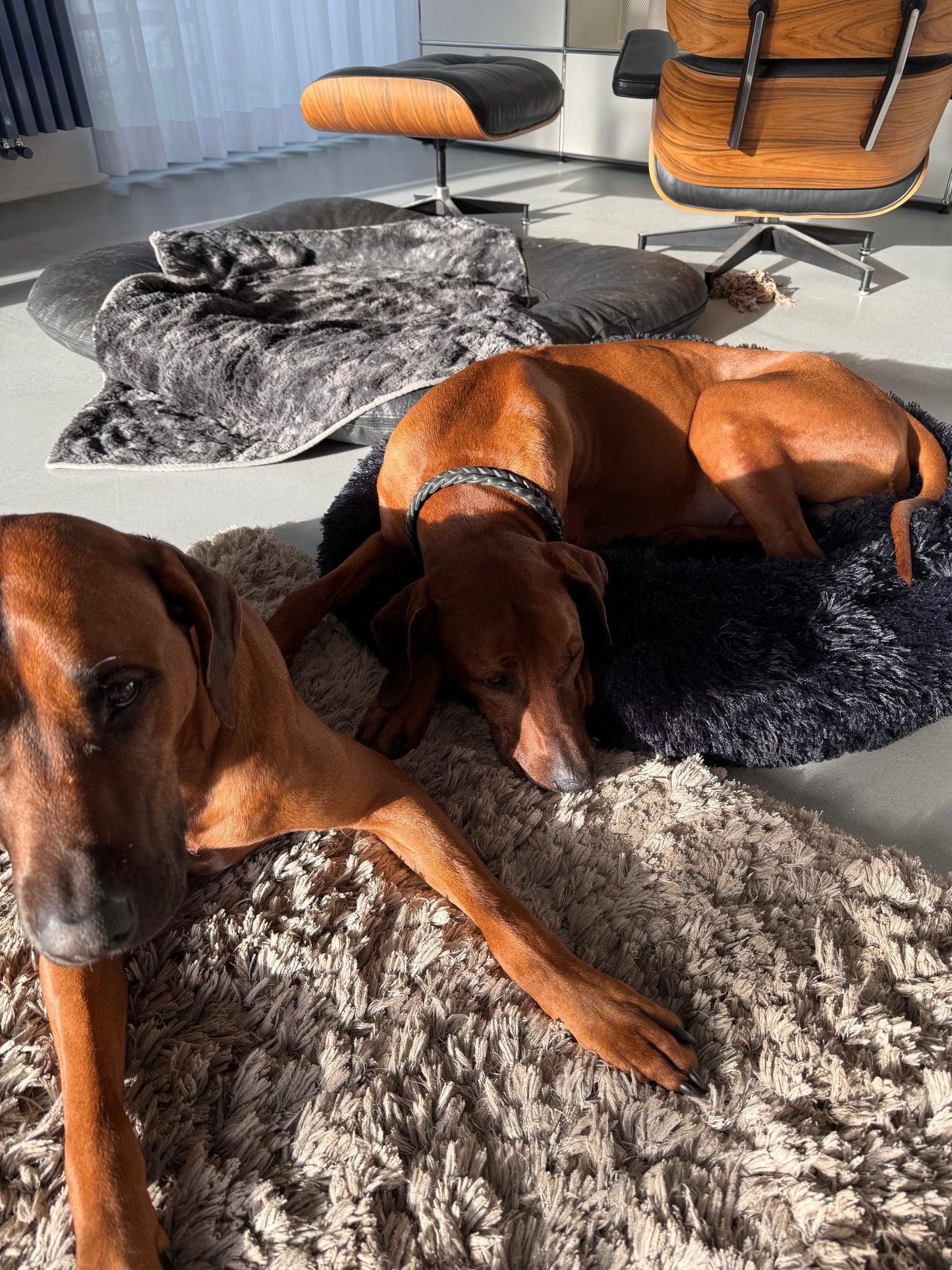 Relaxing Bed - Hundebett aus flauschigem Material