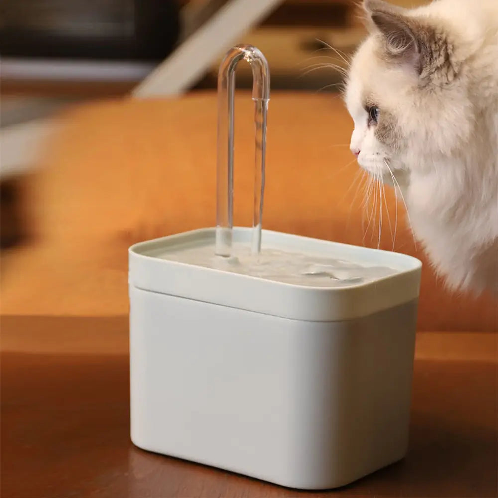 Aquapaws - Wasserspender für Katzen und Hunde